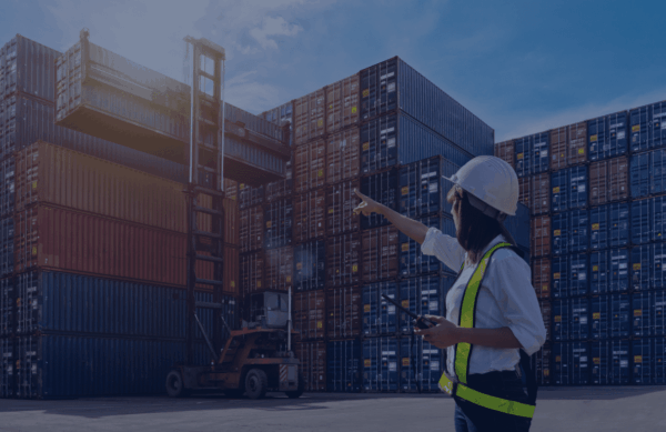 materialidda trasnferencias