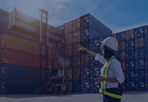 materialidda trasnferencias