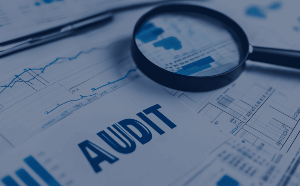 fiscalización 2026 fiscalización 2026